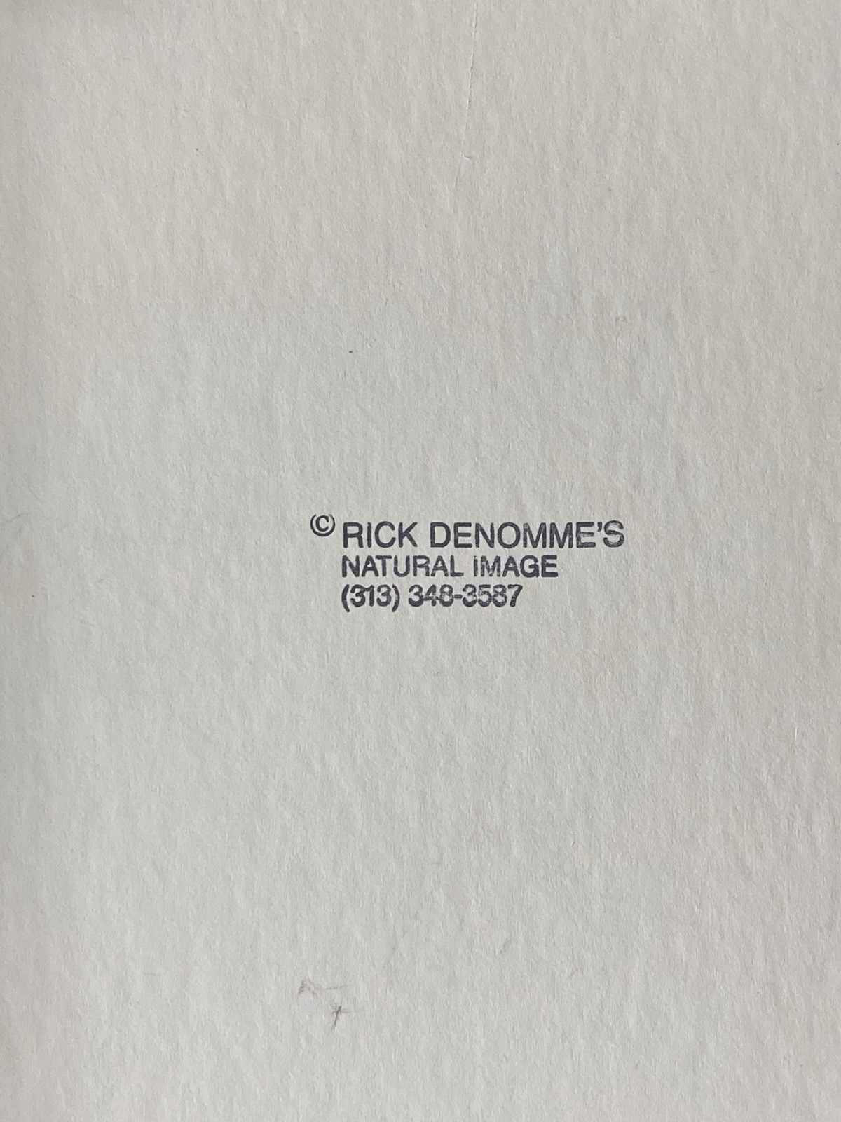 Rick Denomme Bird Photography Set of 4 Framed Cardinal Chickadee Titmouse Signed