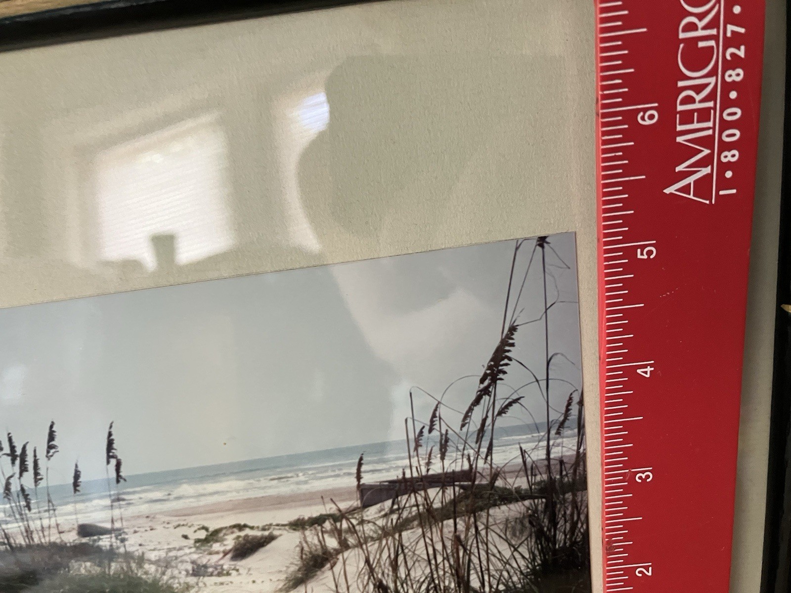 Path To The Beach Artist Edith Warrick Real Photography Laguna Vista Texas, Read