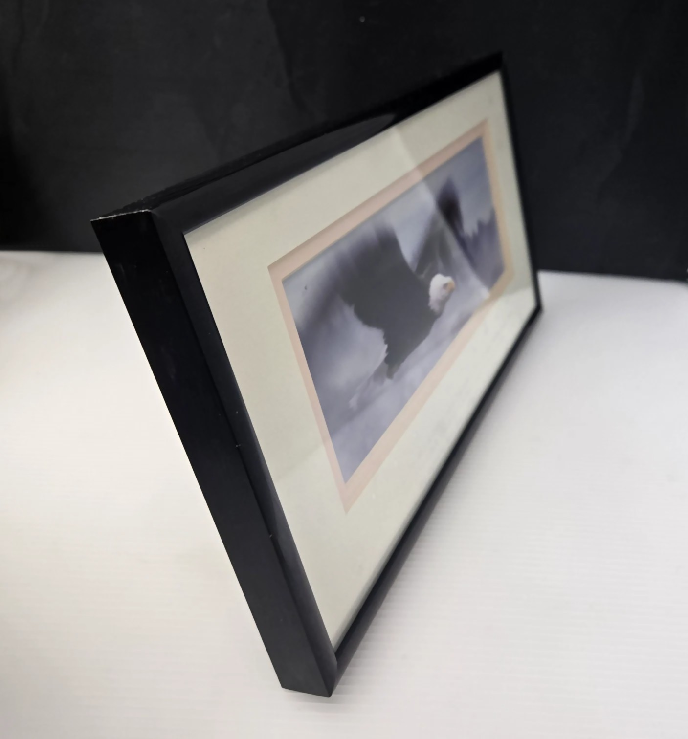 Excellence King Of The Skies Eagle Photo Art Framed Frank Oberle Photography