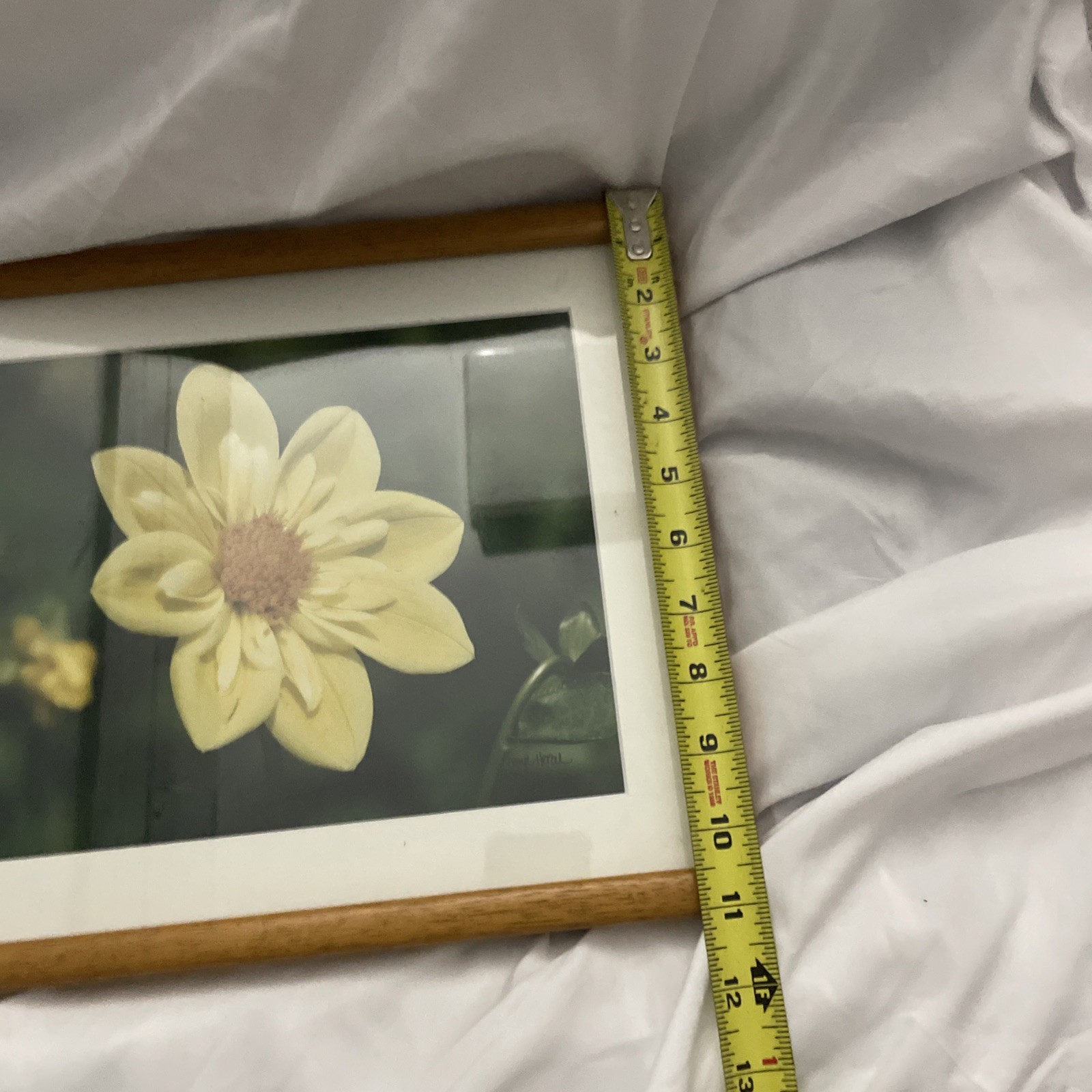 Framed & Matted Sunflower Dahlia Photo Art Vintage 1980’s Signed Caryl Heral