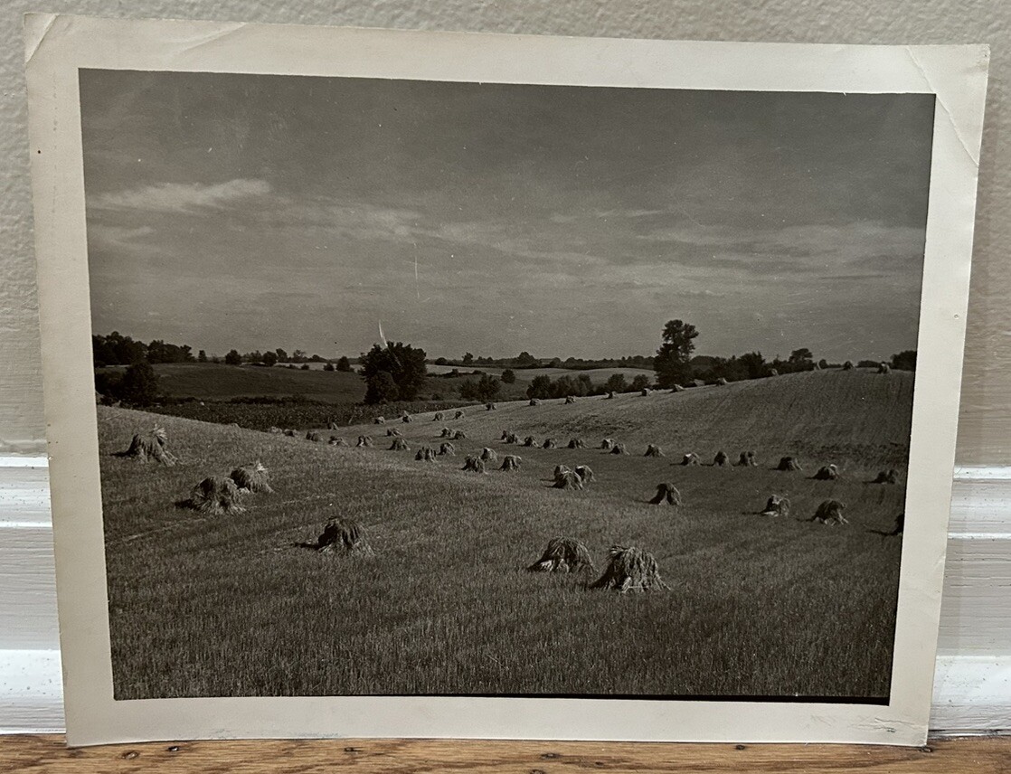 Arthur Gray Standard Oil Photographer Cleveland Ohio Americana Haystacks Monet
