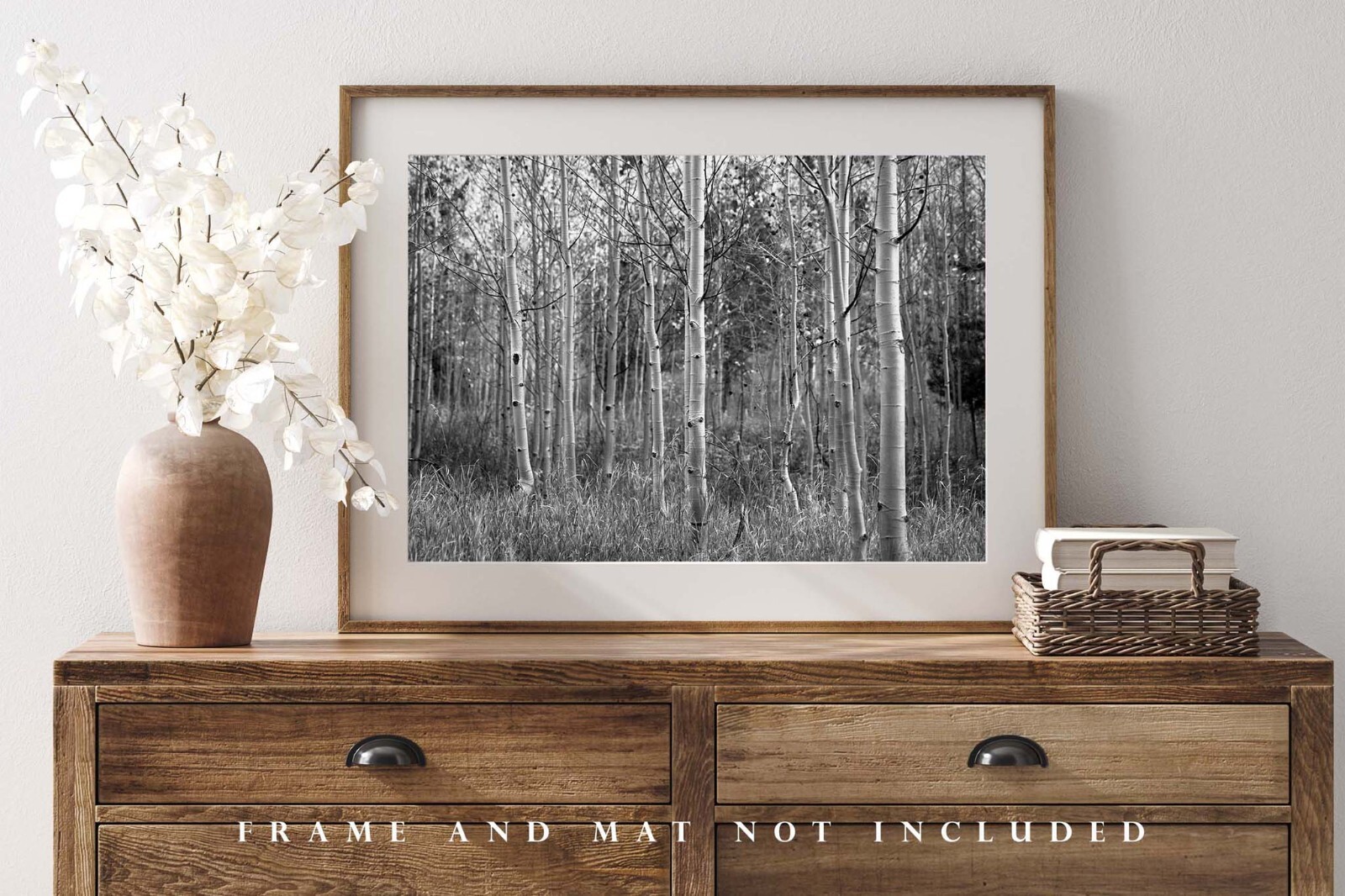 Black and White Photography Print of Aspen Tree Grove on Autumn Day in Colorado