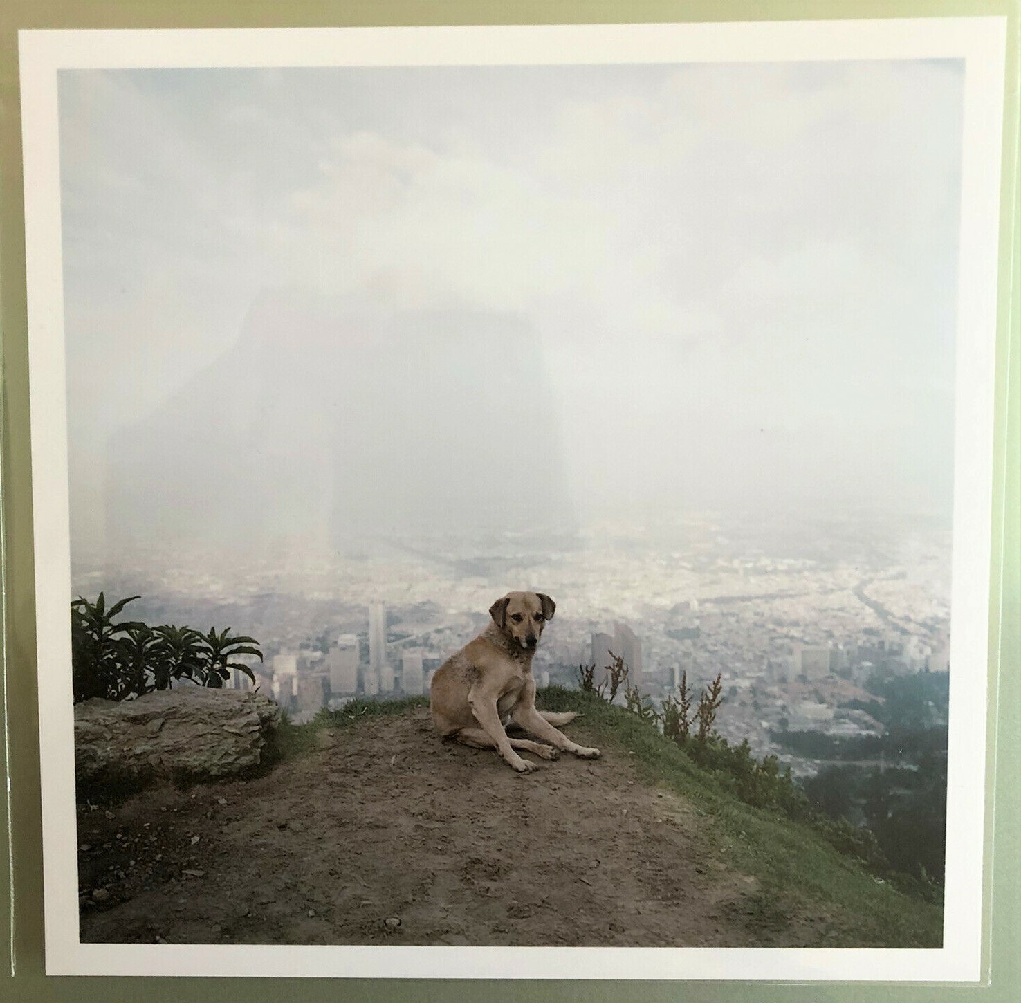 ALEC SOTH ‘Bogota, Columbia’ 2003/2021 SIGNED Ltd. Edition Photograph 6″x6″ NEW!