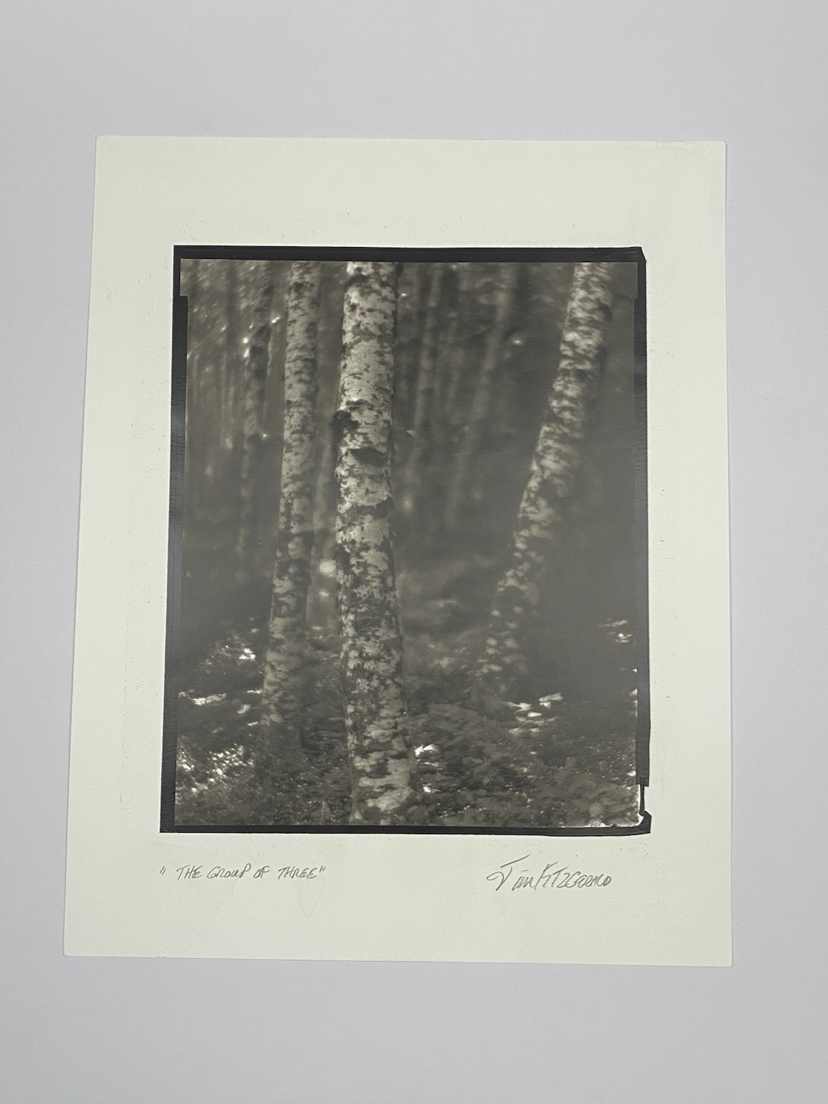 Jim Fitzgerald The Group of Three Signed Photograph Carbon Transfer