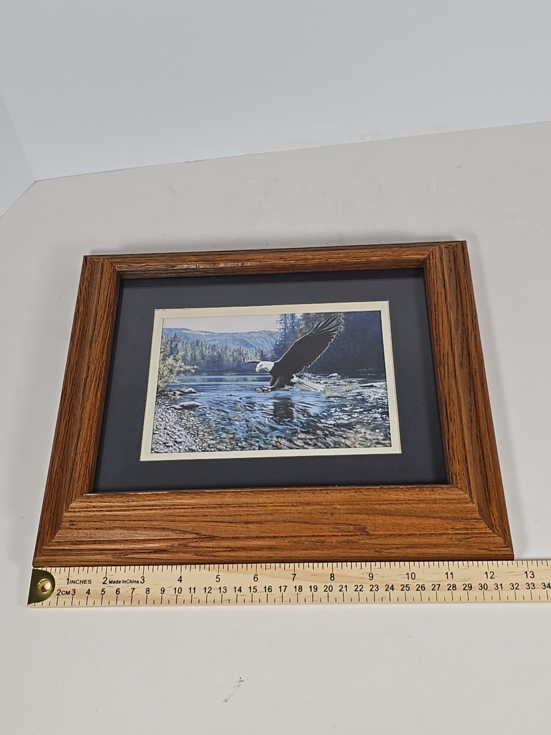 Framed American Bald Eagle Print Picture Of Eagle Coming In For A Fish Dinner