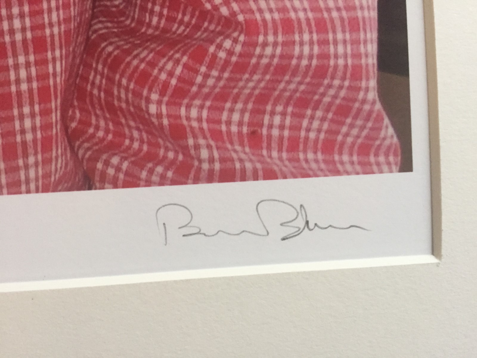 BRUCE BLUM SIGNED COLOR Photo Print (18″X 24″)-“Josh Levin, Upholstry “