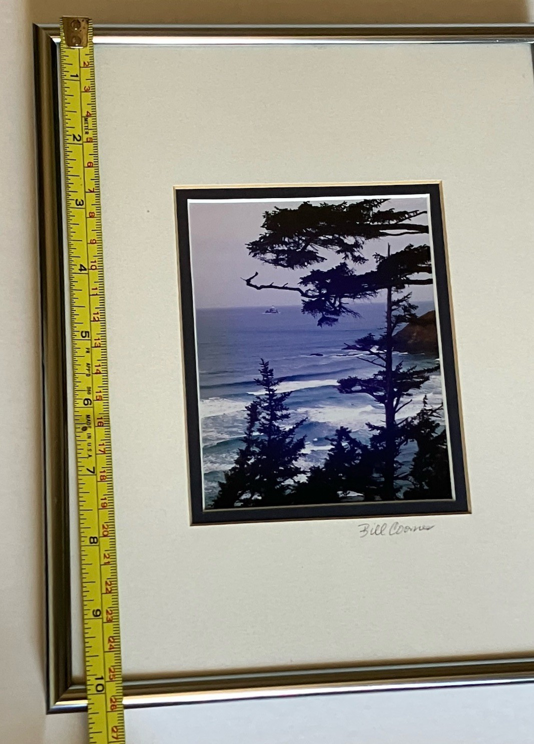 Oregon Coastal Photograph Ecola State Park Framed/ Matted Bill Coons 10 X 8 Inch