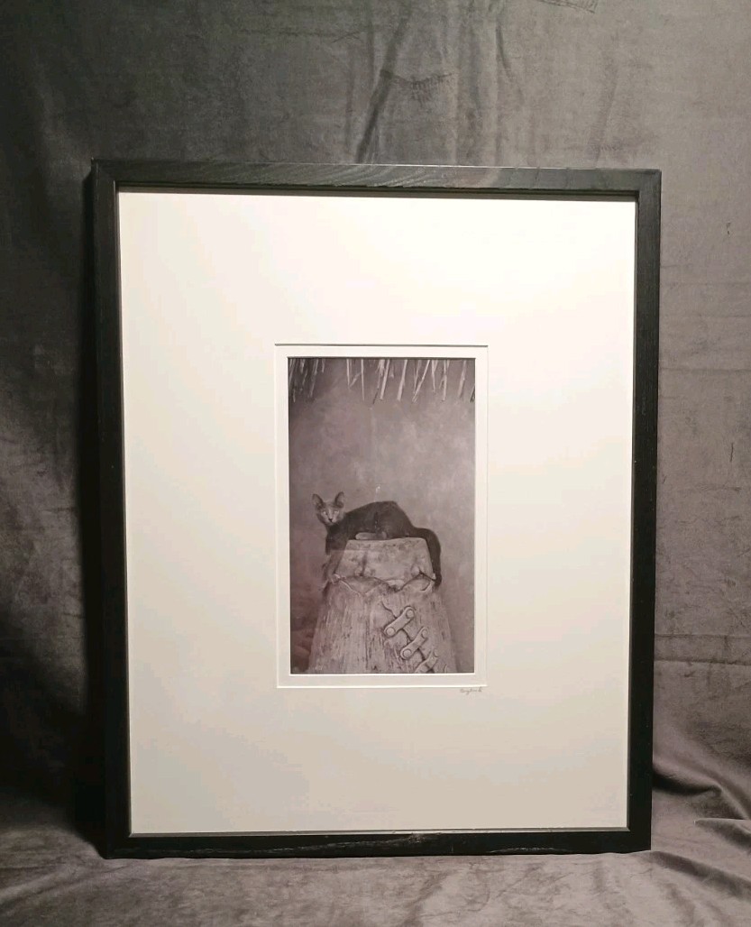 Sophisticated Kitty Cat Black & White Art Photography 17 X 21″ BERGLUND Signed