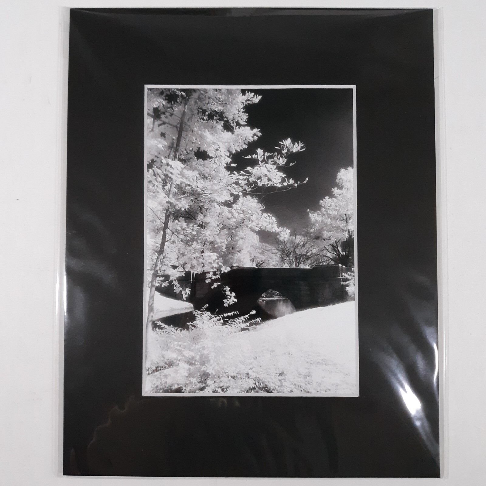 Black Mat Photo Landscape Park Infrared Photography Bridge Trees Art Print