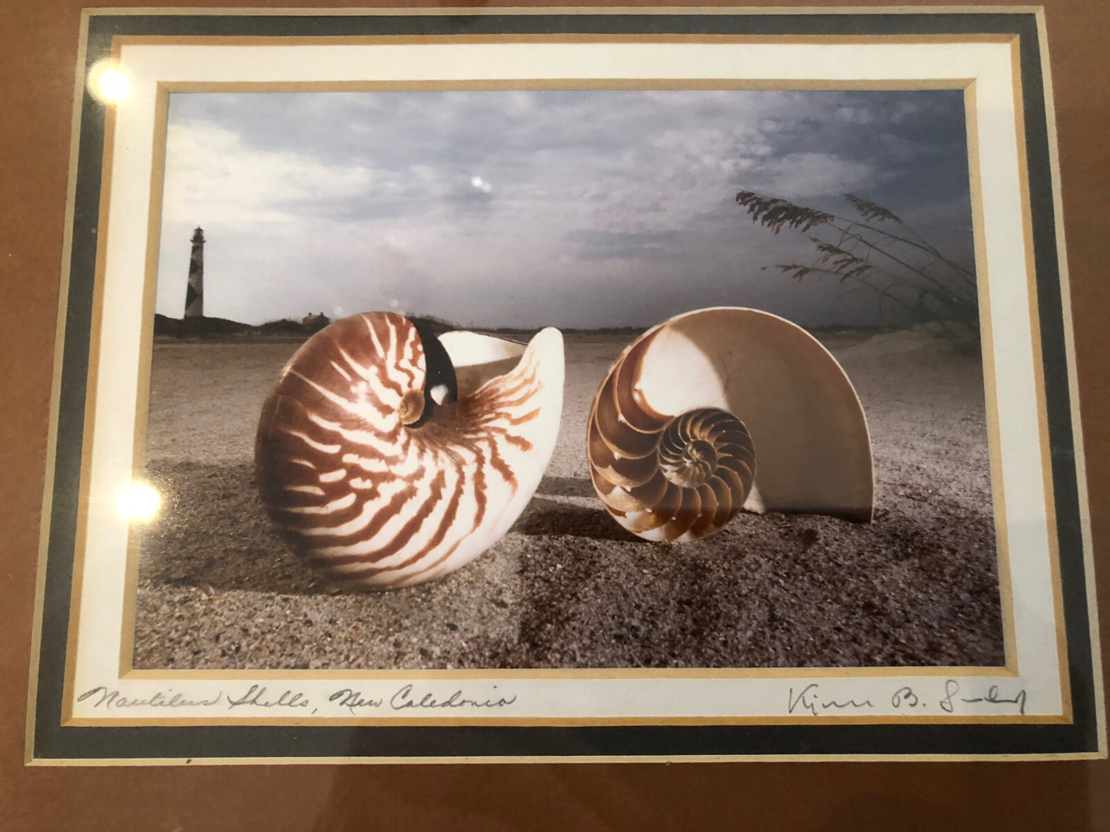 ORIGINAL Kjell B. Sandved NAUTILUS SHELL ART PHOTO Hand Signed L.E. Triple Mat