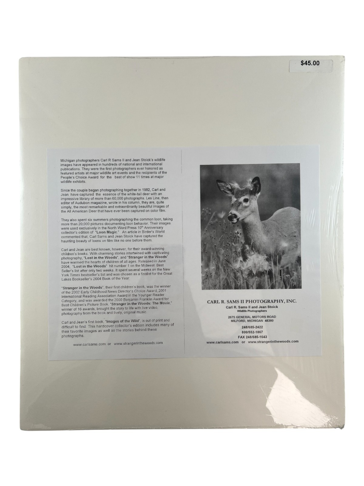 NEW Wildlife Photography Print: Stranger In The Woods ‘Mama Returns’ 8×10 Matted