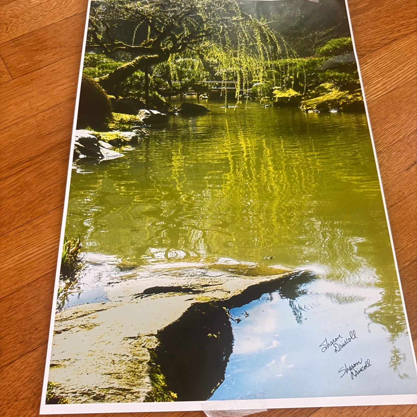 Sharon Driscoll Signed 13×19 Japanese Garden Photograph – Portland PNW Artist
