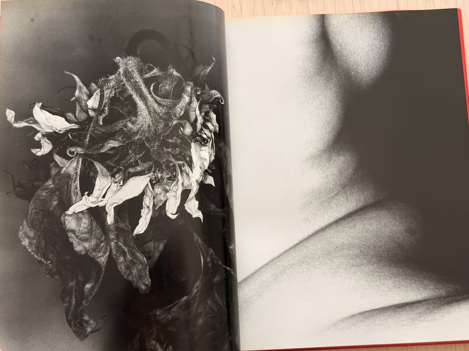🎈SIGNED Nobuyoshi Araki – EROTOS, First Edition 1993, Japan, HC, LIBRO, SupRARE