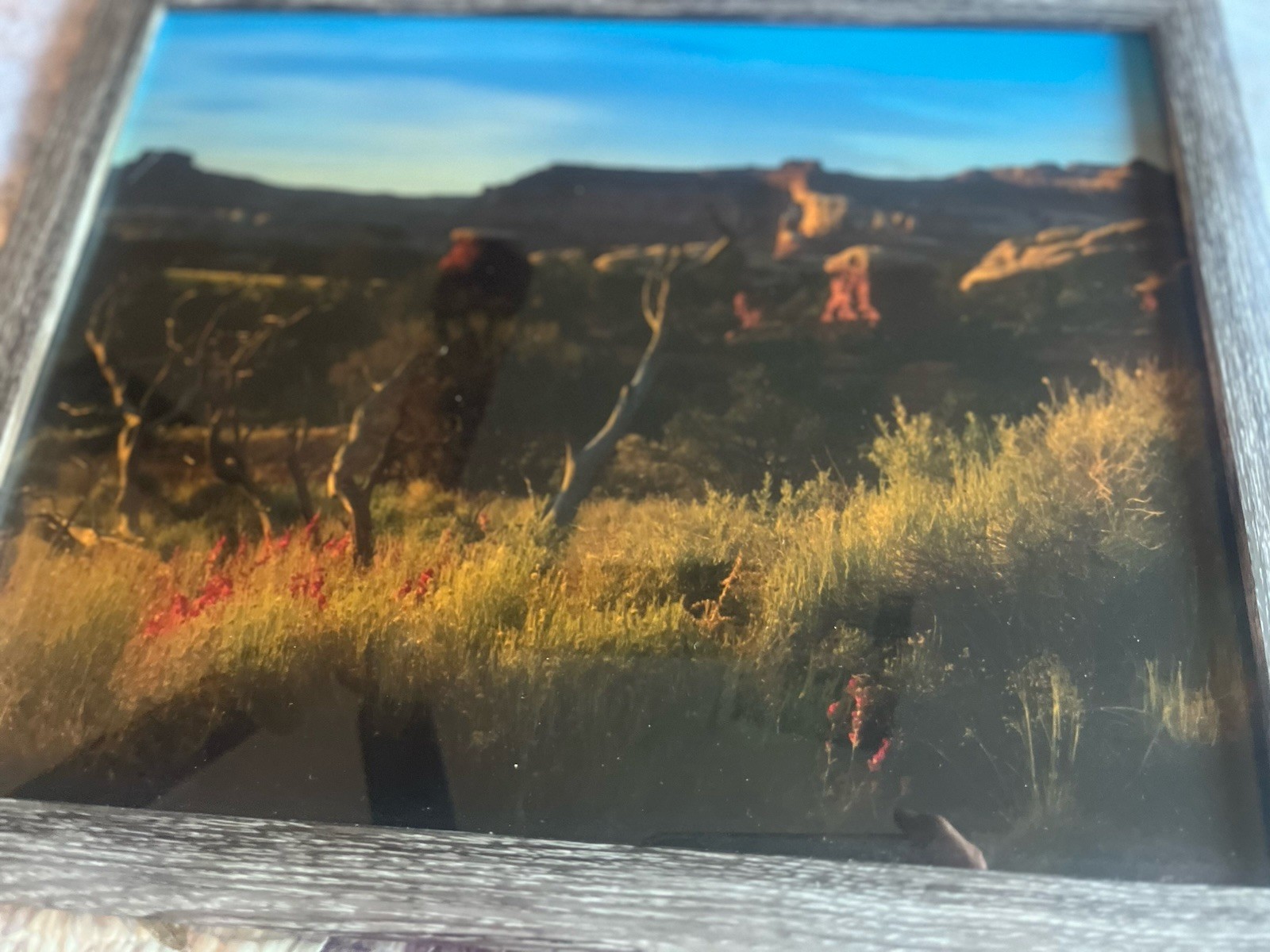 Photograph Of Desert In The Springtime Framed 15 1/2 X 12 1/2