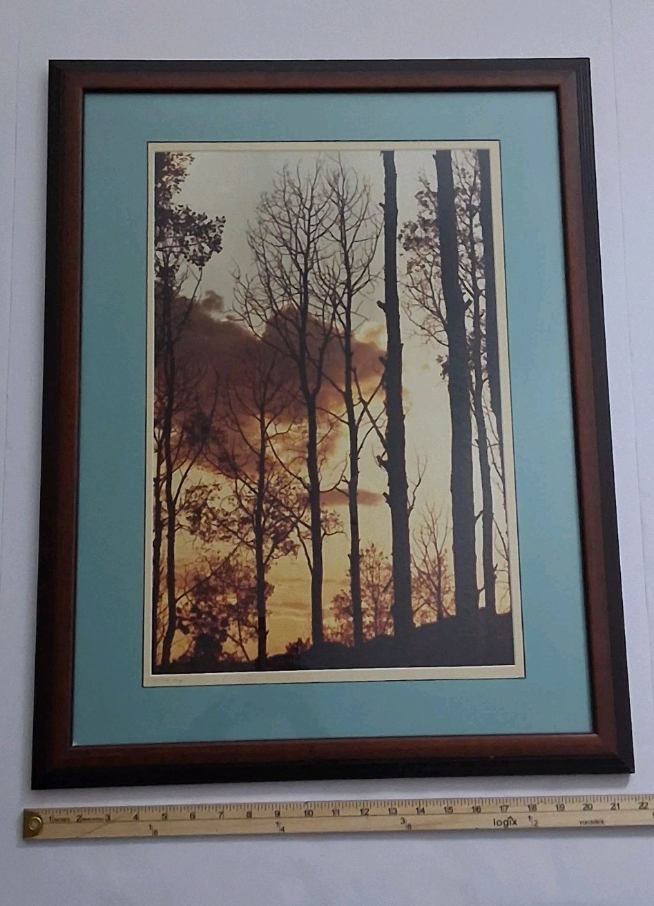 Framed Limited Edition Photograph — Sunset Silhouette Forest — Signed & Numbered