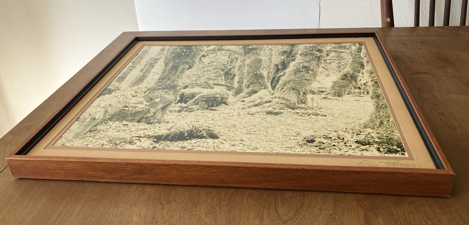 Ray Atkeson Original Photo Large Frames Signed Old Forest Landscape Oregon