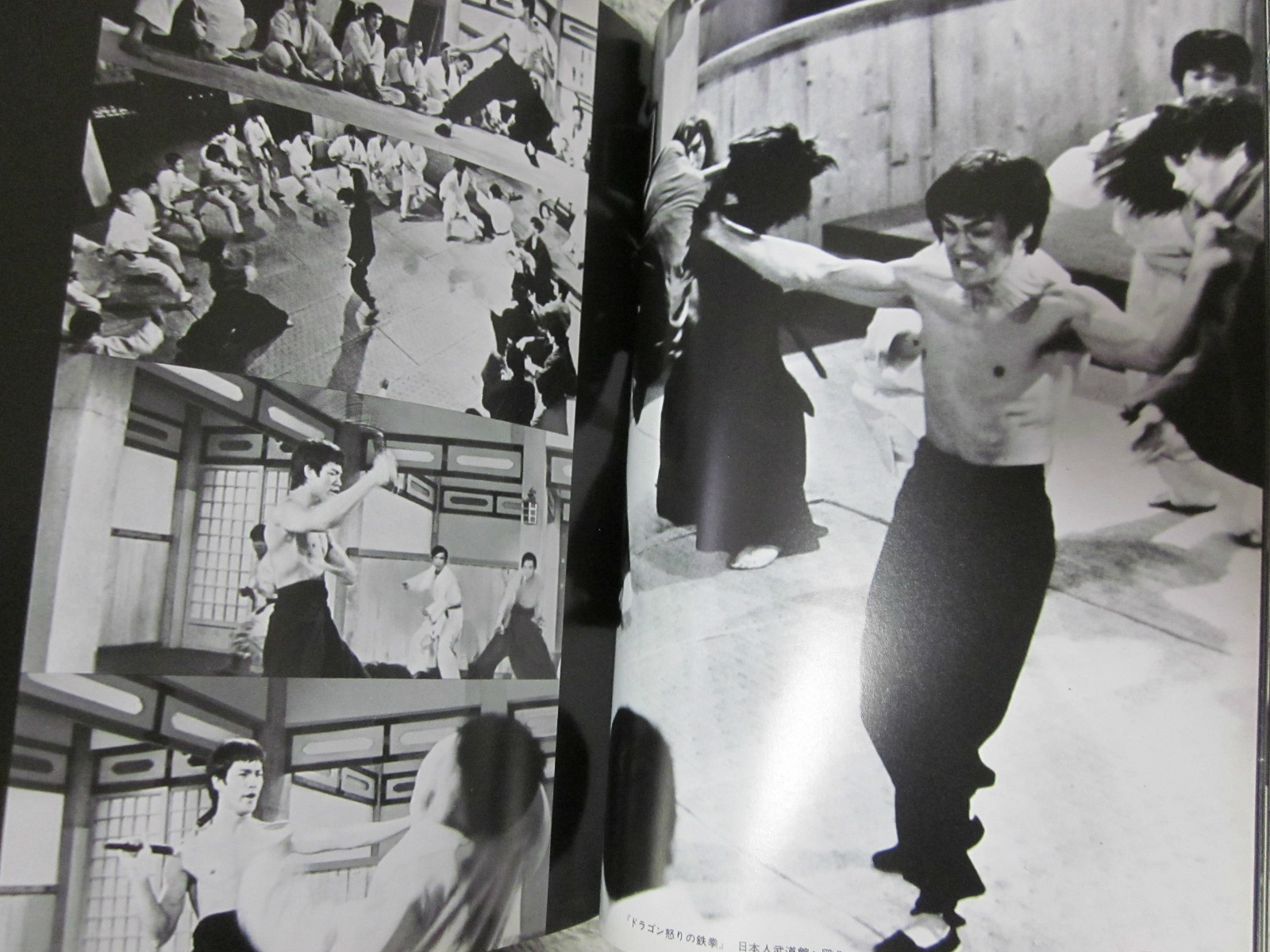 BRUCE LEE BOOK DRAGON FOREVER 1974 JAPAN by Koichi Hino 1st. edition