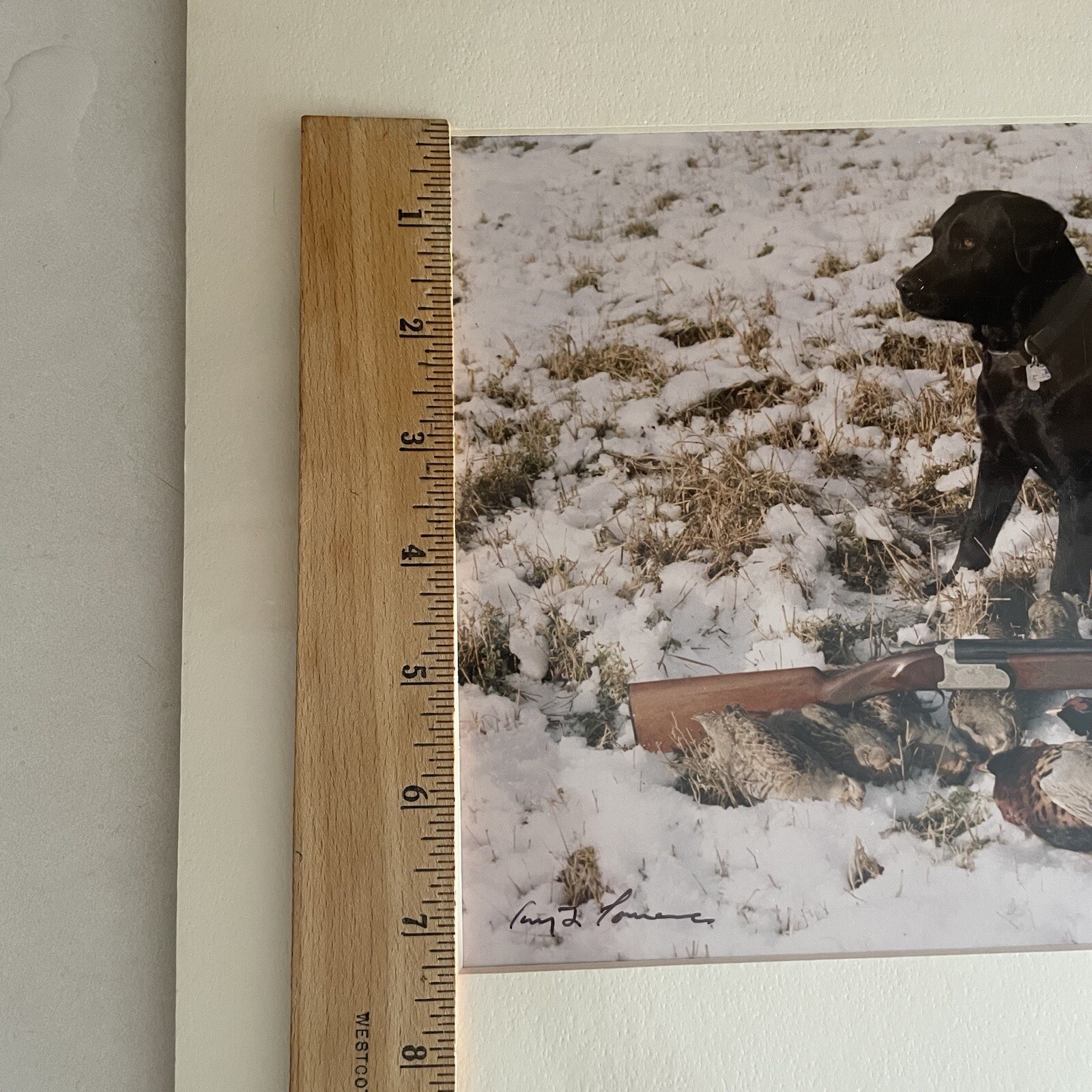 Gerry Lamarre Wildlife Photographer Print Black Lab Hunting Rifle Pheasant Snow