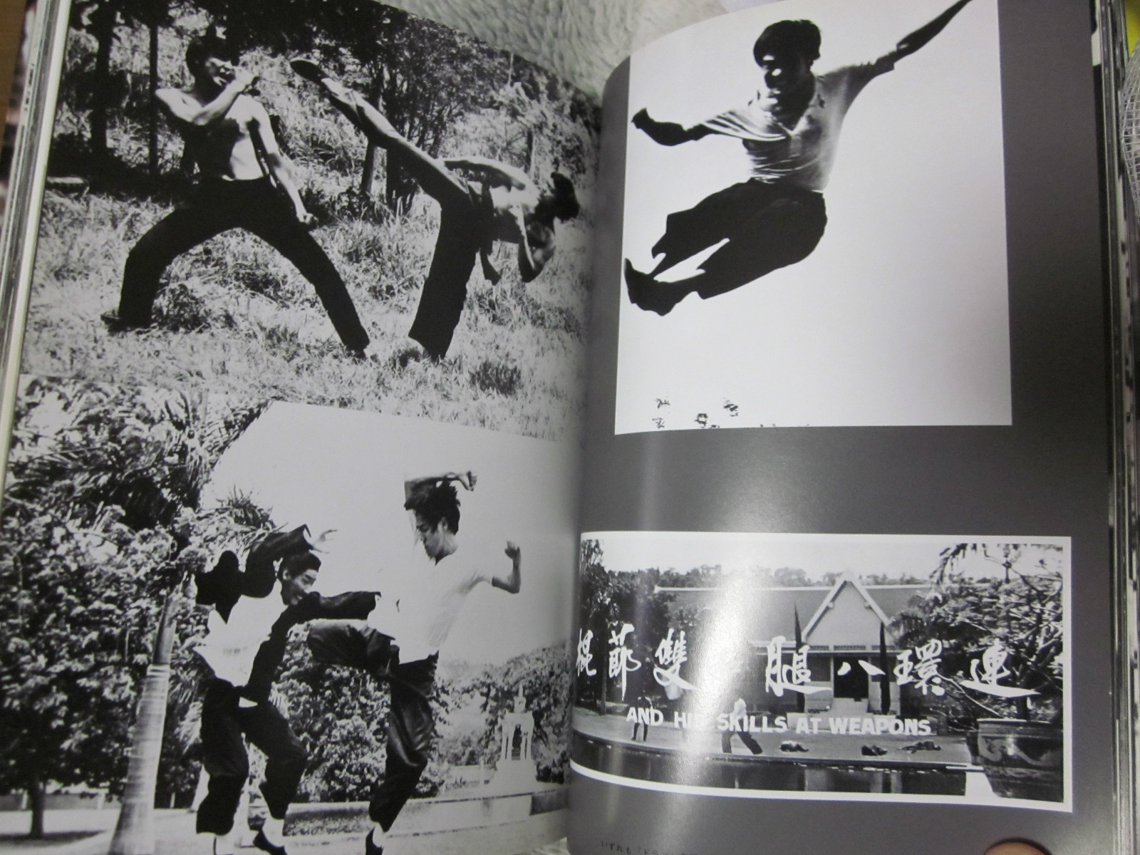 BRUCE LEE BOOK DRAGON FOREVER 1974 JAPAN by Koichi Hino 1st. edition