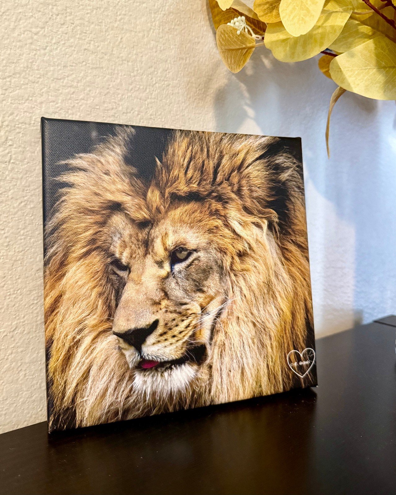 Gorgeous Canvas Photography Lion Profile 8×8