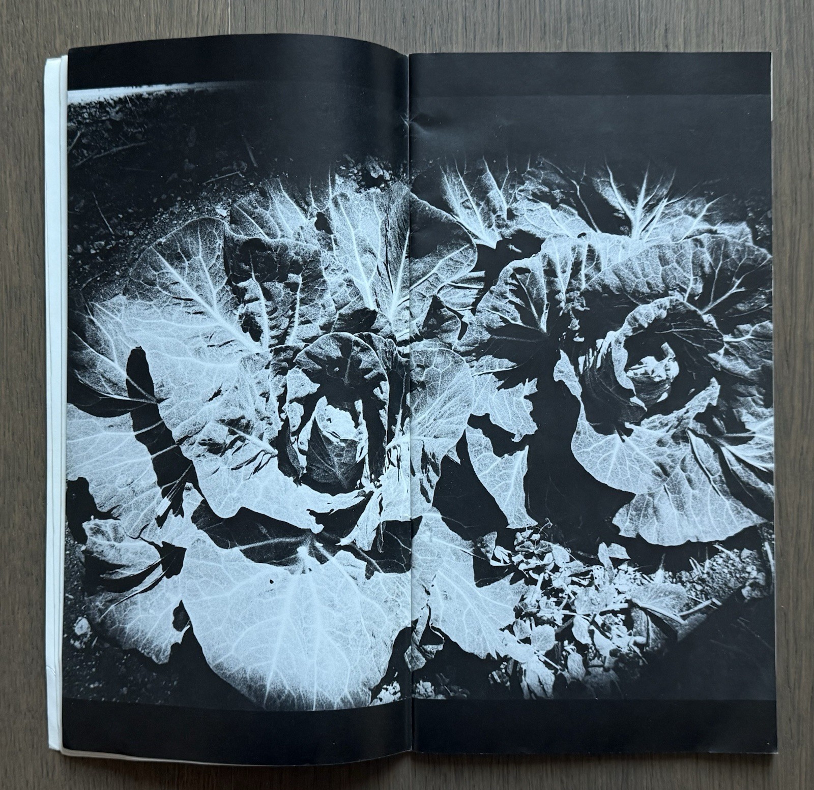 🎈Super RARE! Daido Moriyama – WORKSHOP No. 5, 1975, Araki, Takuma Nakahira