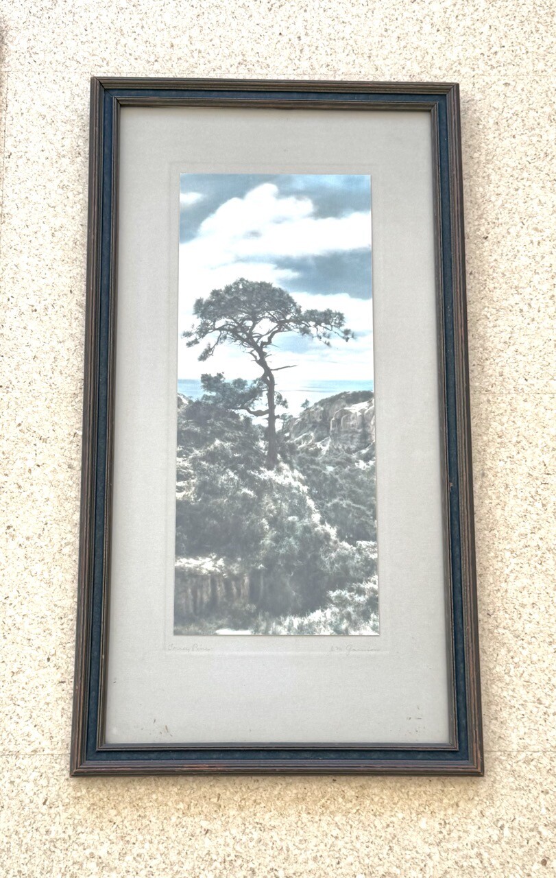 Lg VTG J.M. Garrison Hand Tinted Oil Color Photo Torrey Pines 12.5”x23.5” VGC