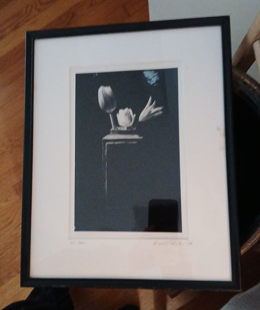 Framed Signed Dated PHOTOGRAPH Black & White Flowers/Vase 1989-14.75″H X 12″L