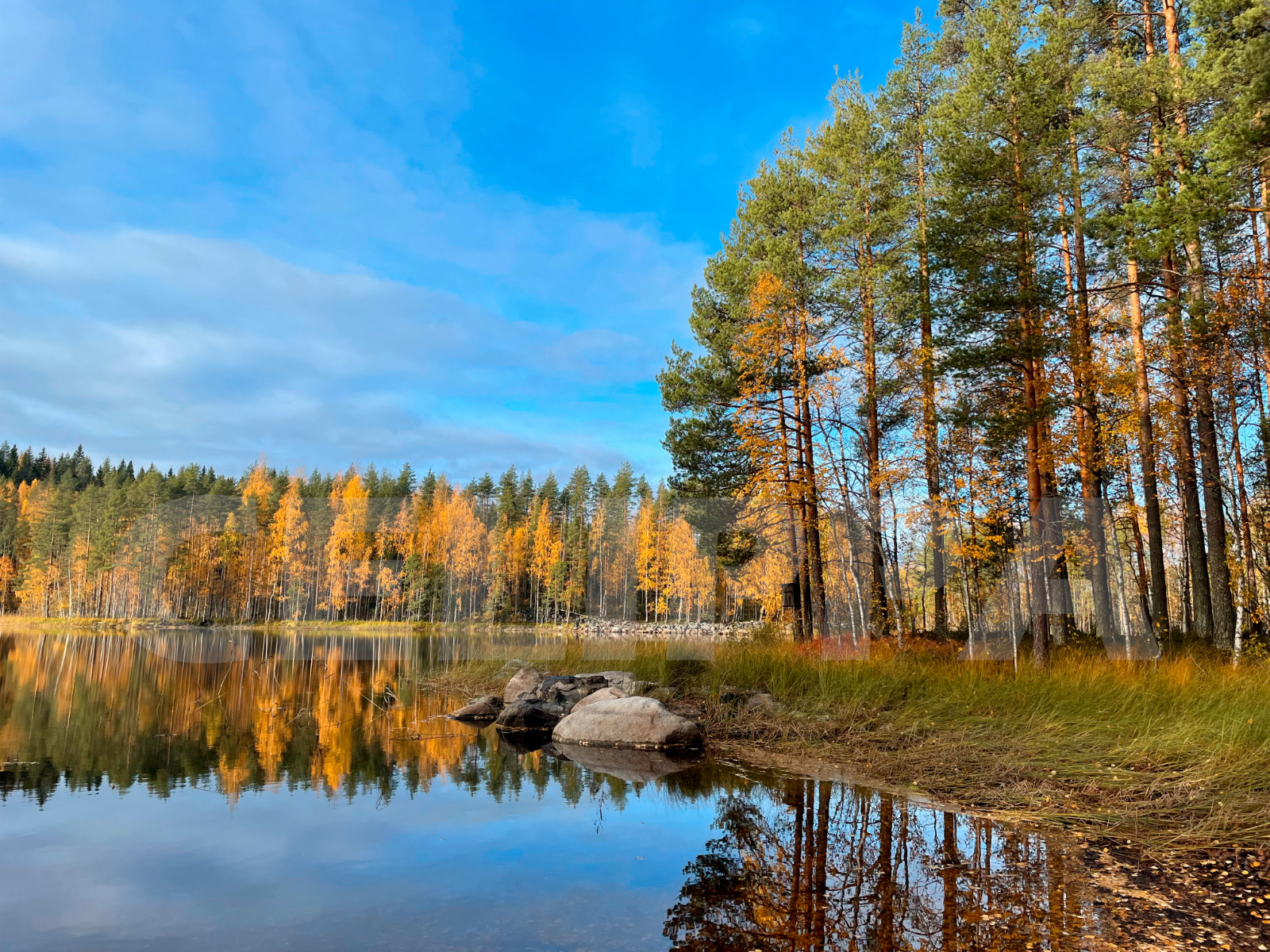 Photo Digital Product Wallpaper Image Picture Background Desktop Art -Lake.Fores
