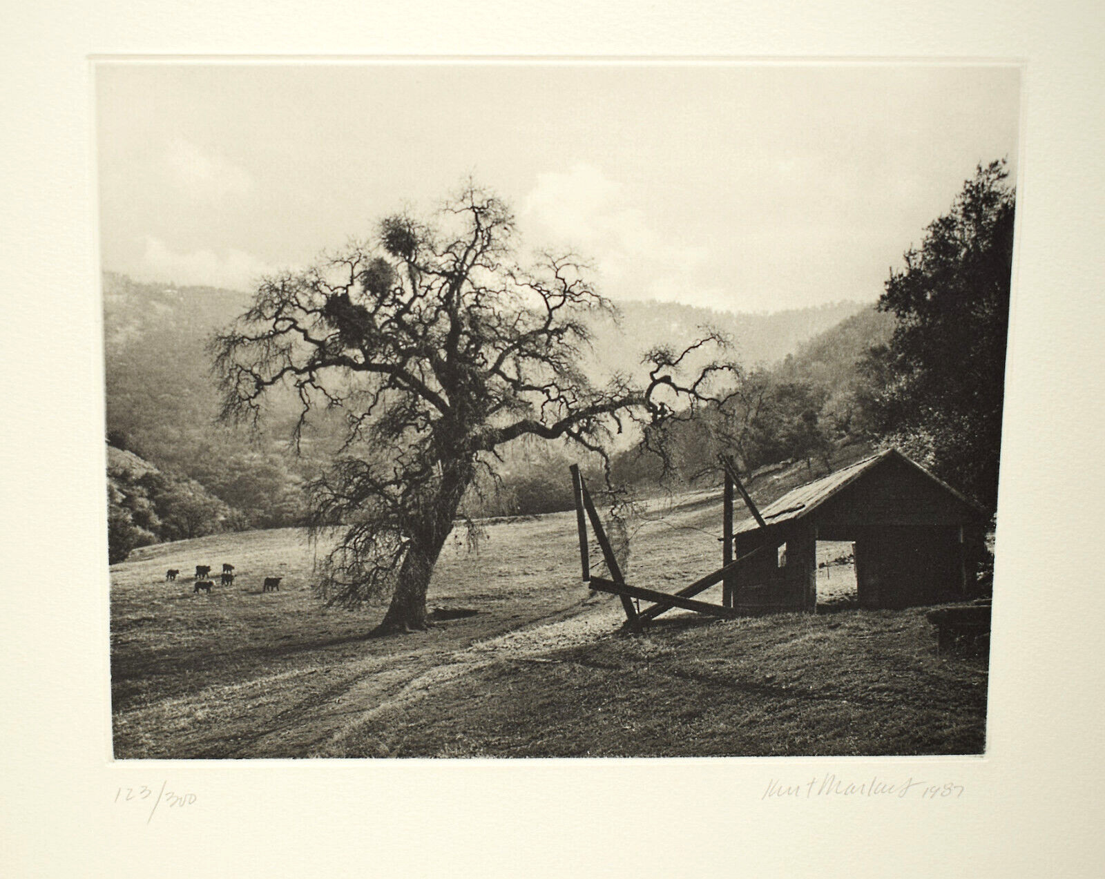 KURT MARKUS Meadow And Oak 1987 Photogravure Signed ltd 1/300