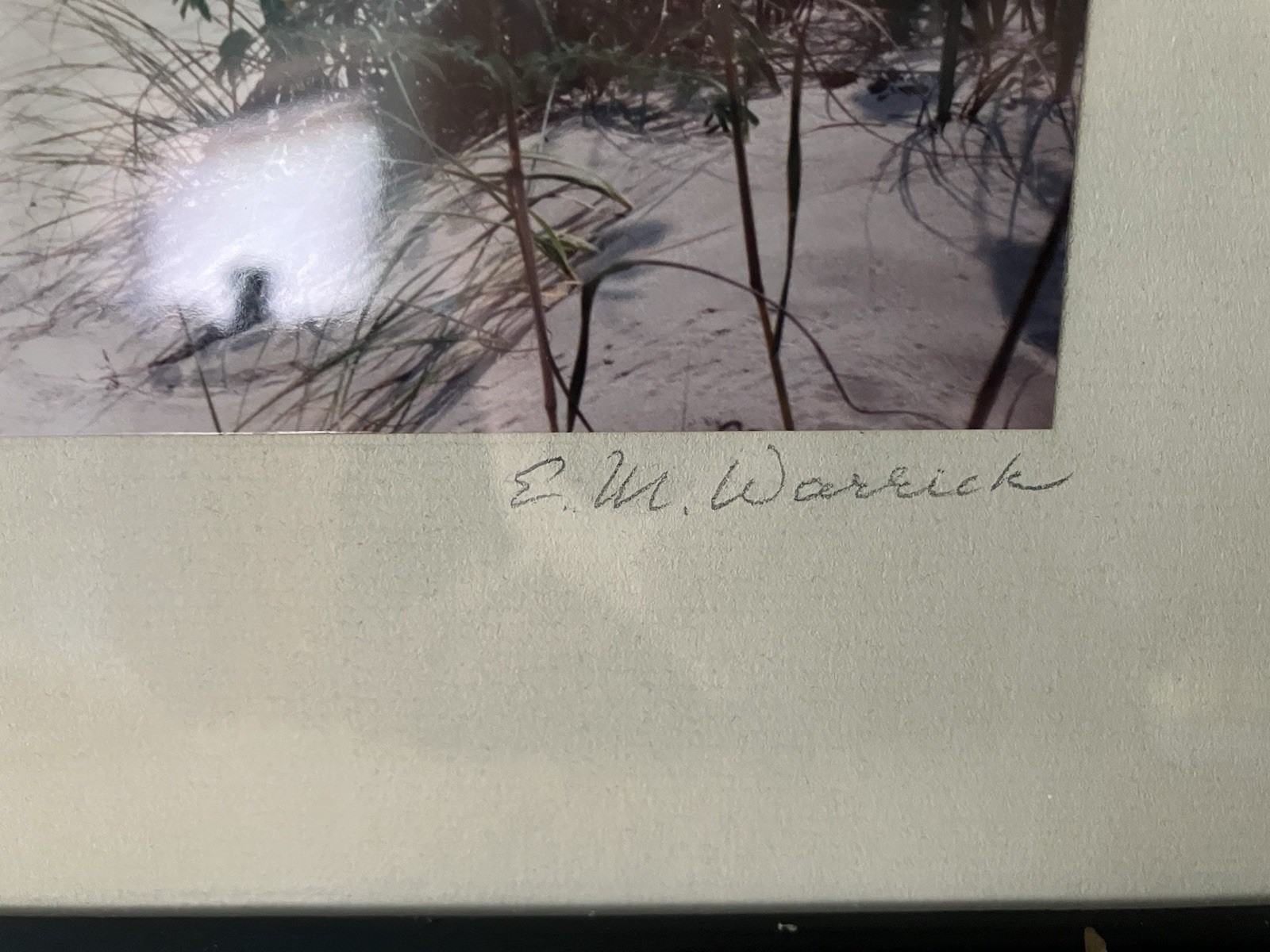Path To The Beach Artist Edith Warrick Real Photography Laguna Vista Texas, Read