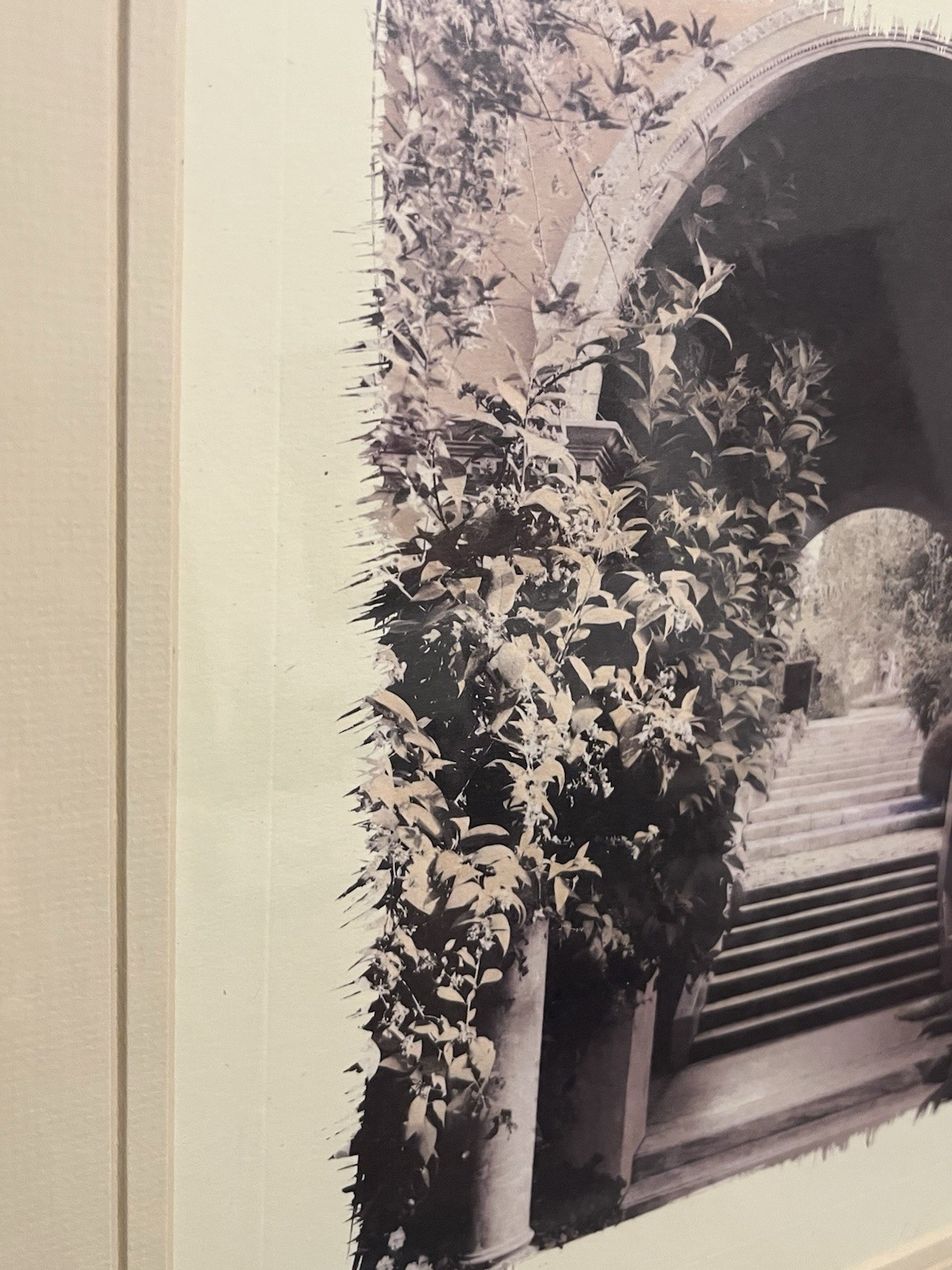 European Garden By Allan Blaustein Photography Framed With Glass 18 1/2 X 18 1/2