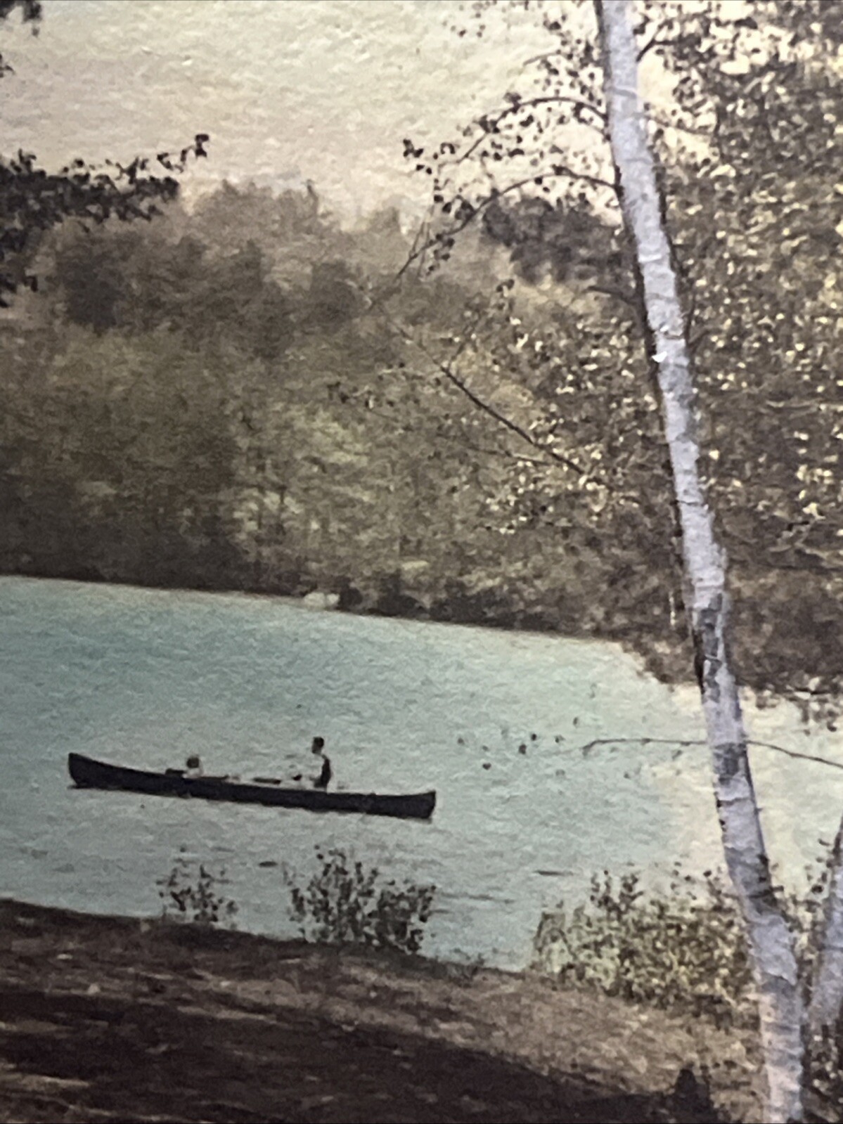 Old Color LANDSCAPE PHOTOGRAPHY Lake Scene Boat Trees Sky ANTIQUE PHOTO