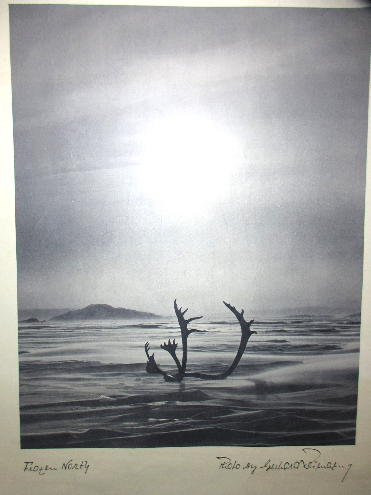 Gerhard Reimann FROZEN NORTH Photograph Canada’s Northwest Territory 20×16