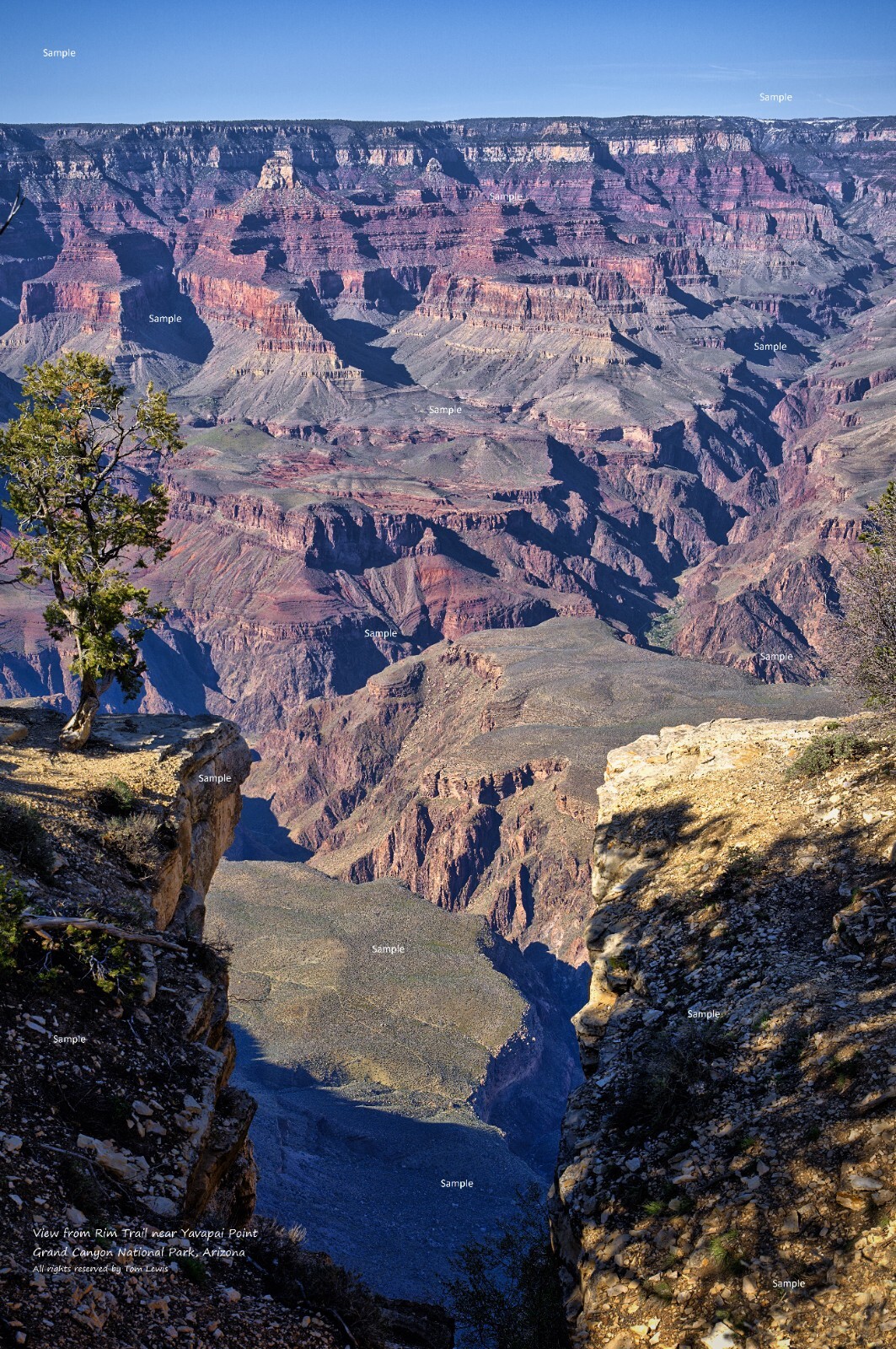 Grand Canyon National Park Rim Trail Yavapai Point Arizona Photo Print GC05