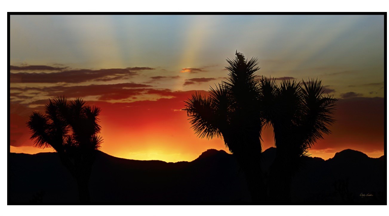 Sunset Rays
