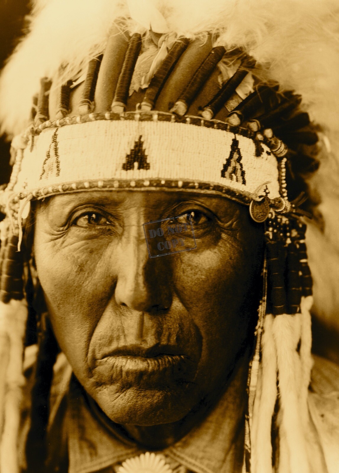 Edward Curtis Red Bird Cheyenne Giclee Fine Art Print Open Edition Reproduction