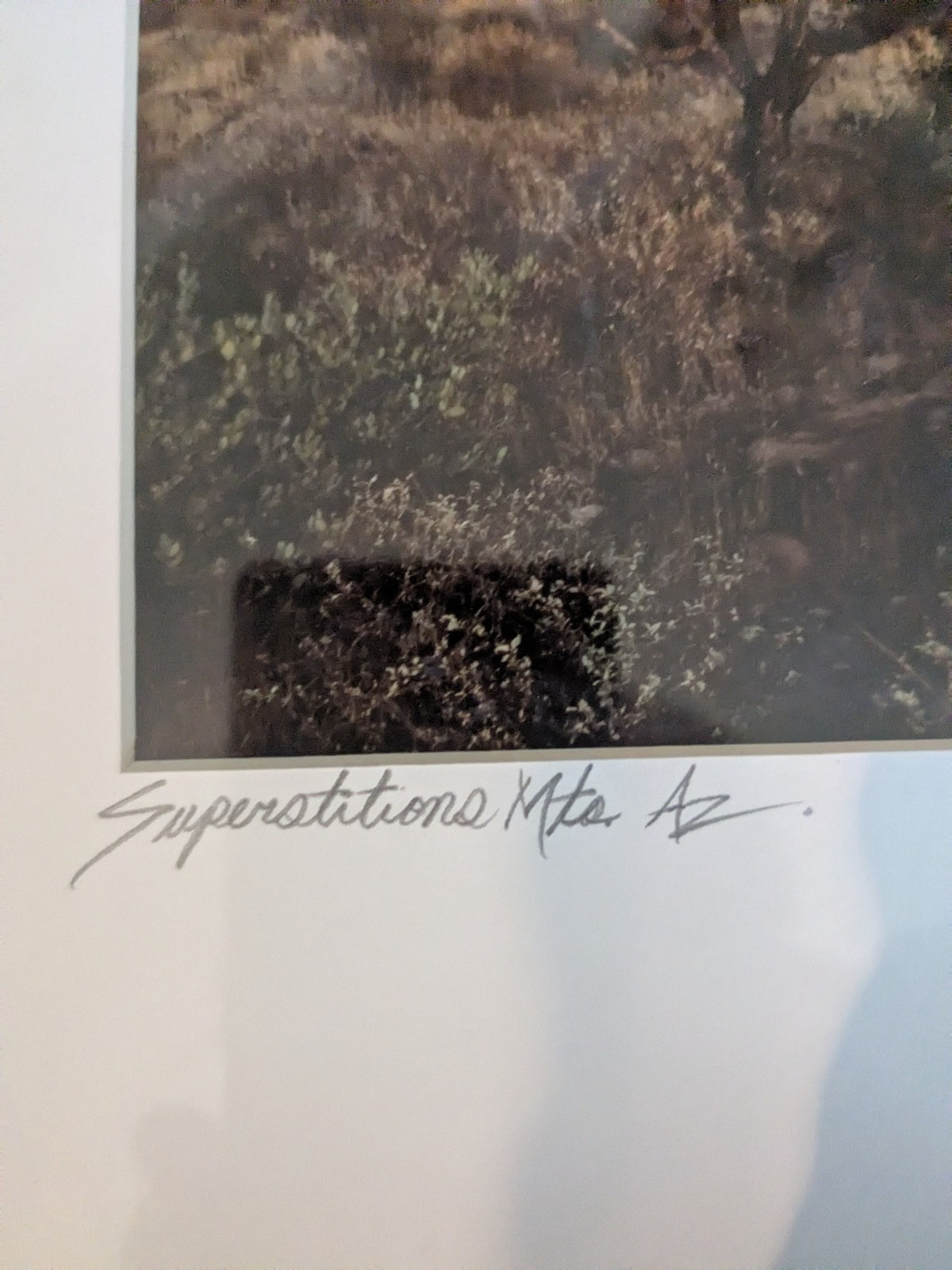 Southwest Desert Photography Superstitions Mountains, Az Louis Cantillo 1994