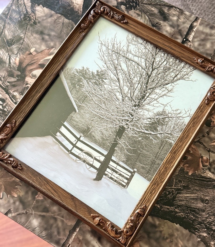 Original photograph, ‘Winter Maple’ by Serene Scenes in Maine, 8×10