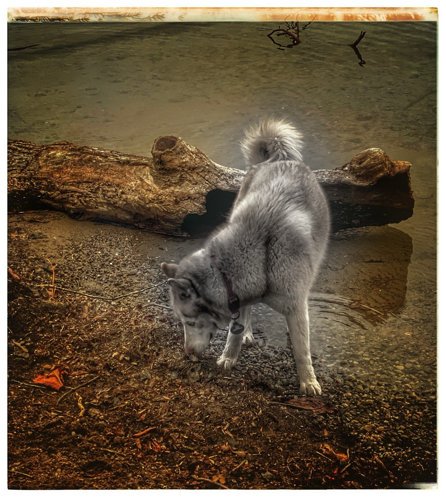 framed original artwork Photography