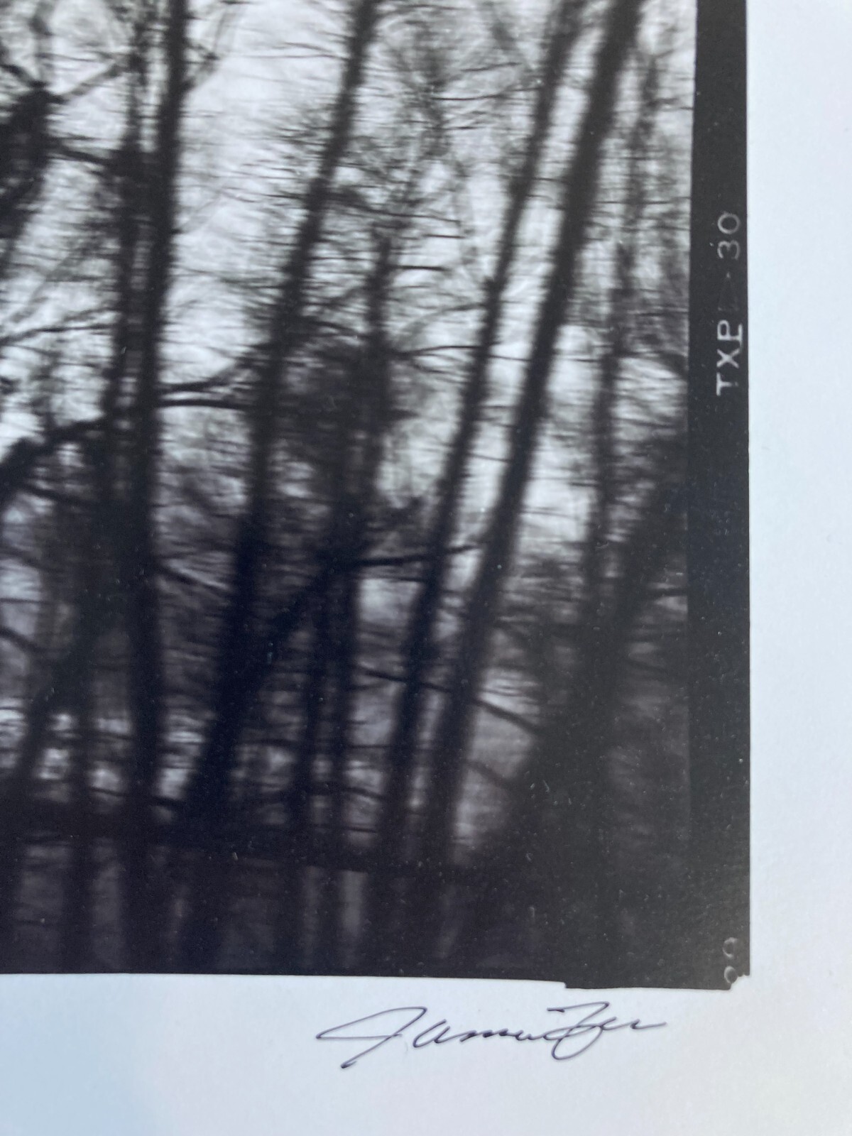 JAMES FEE Signed SEPIA-TONED GELATIN SILVER PRINT Blurred Landscape Los Angeles