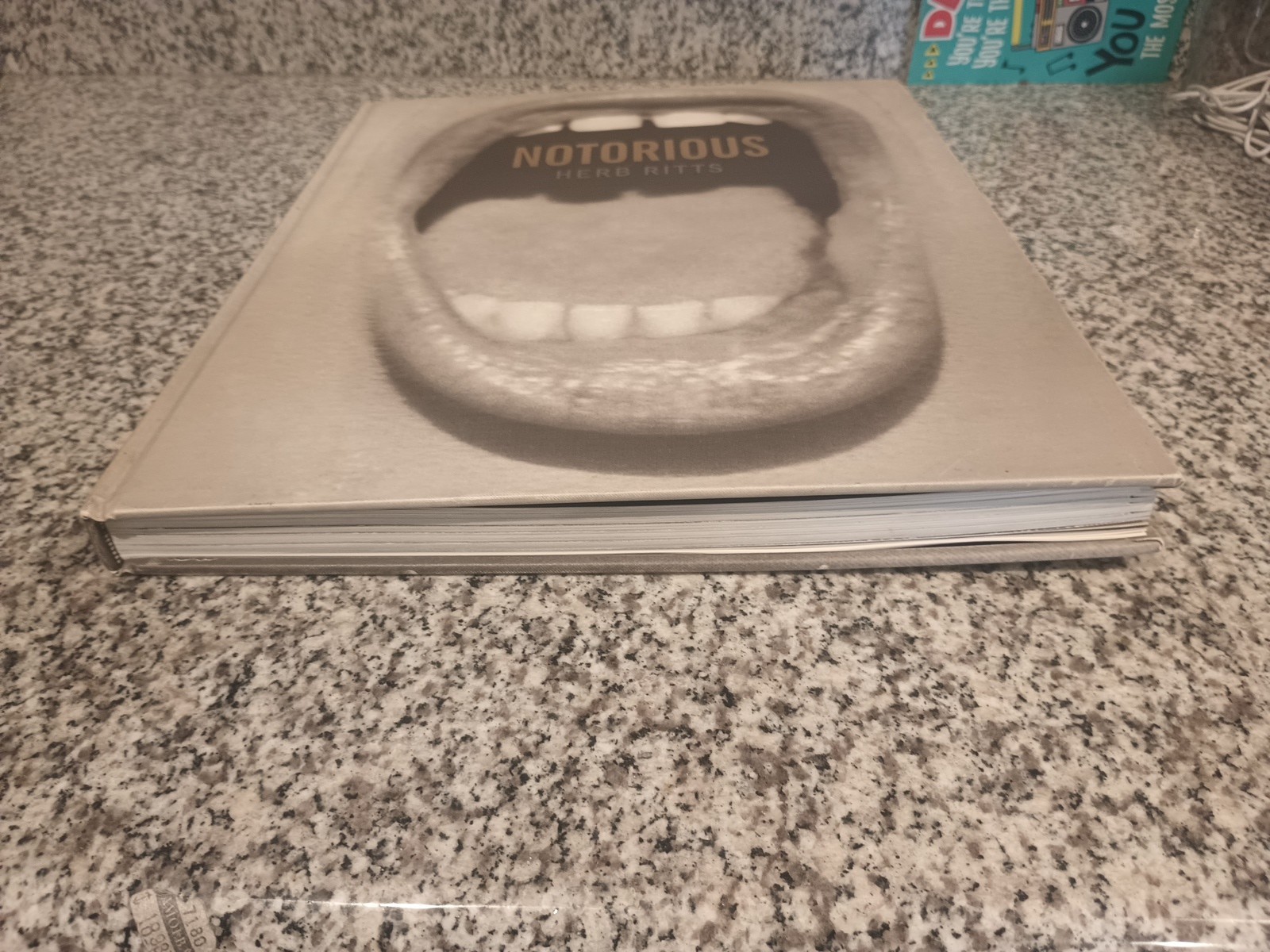 NOTORIOUS Herb Ritts Photo book Photography bulfinch press 1992 W300×H390mm Used