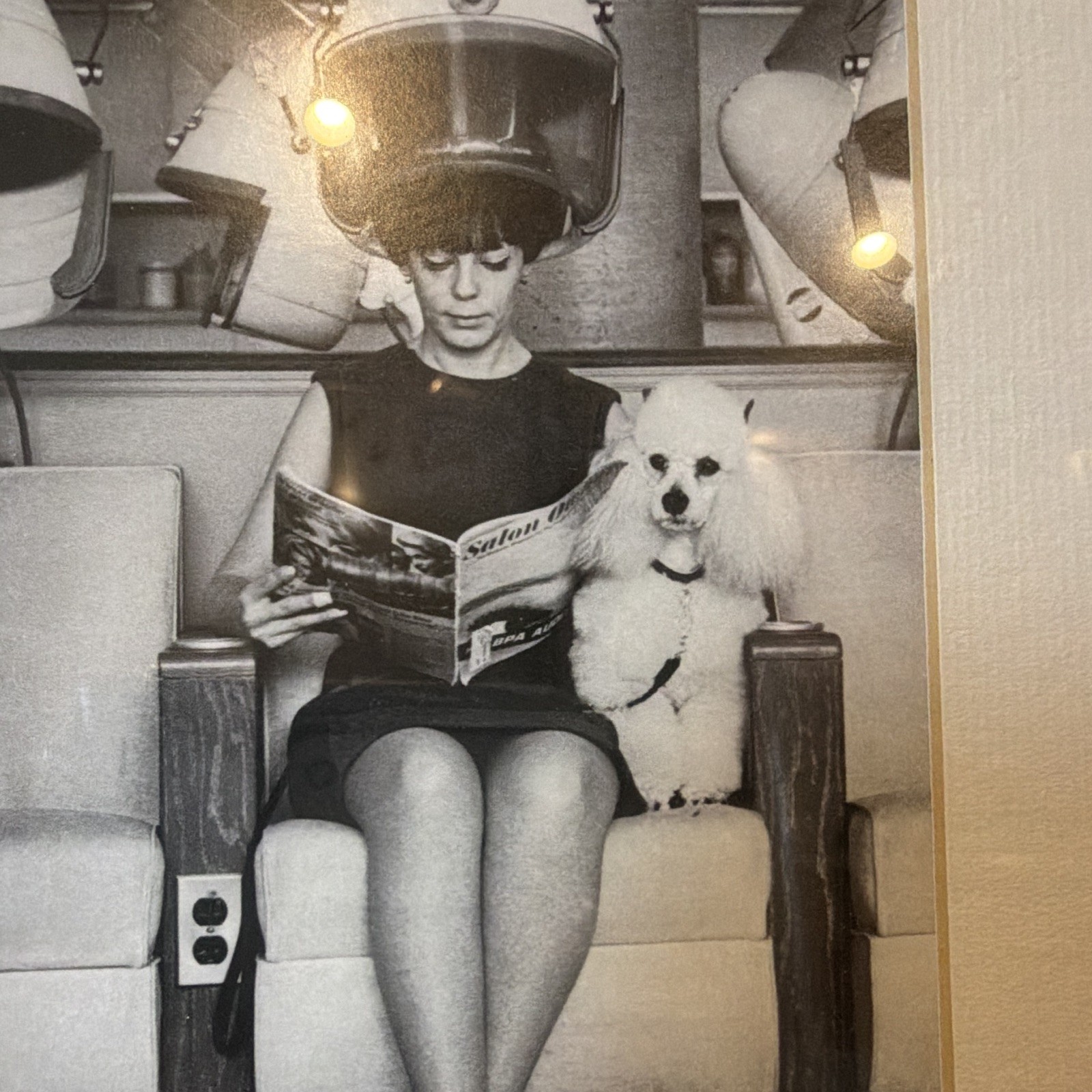 Vintage Black & White Photograph Woman Under Hair Dryer w/ Dog, Framed Matted
