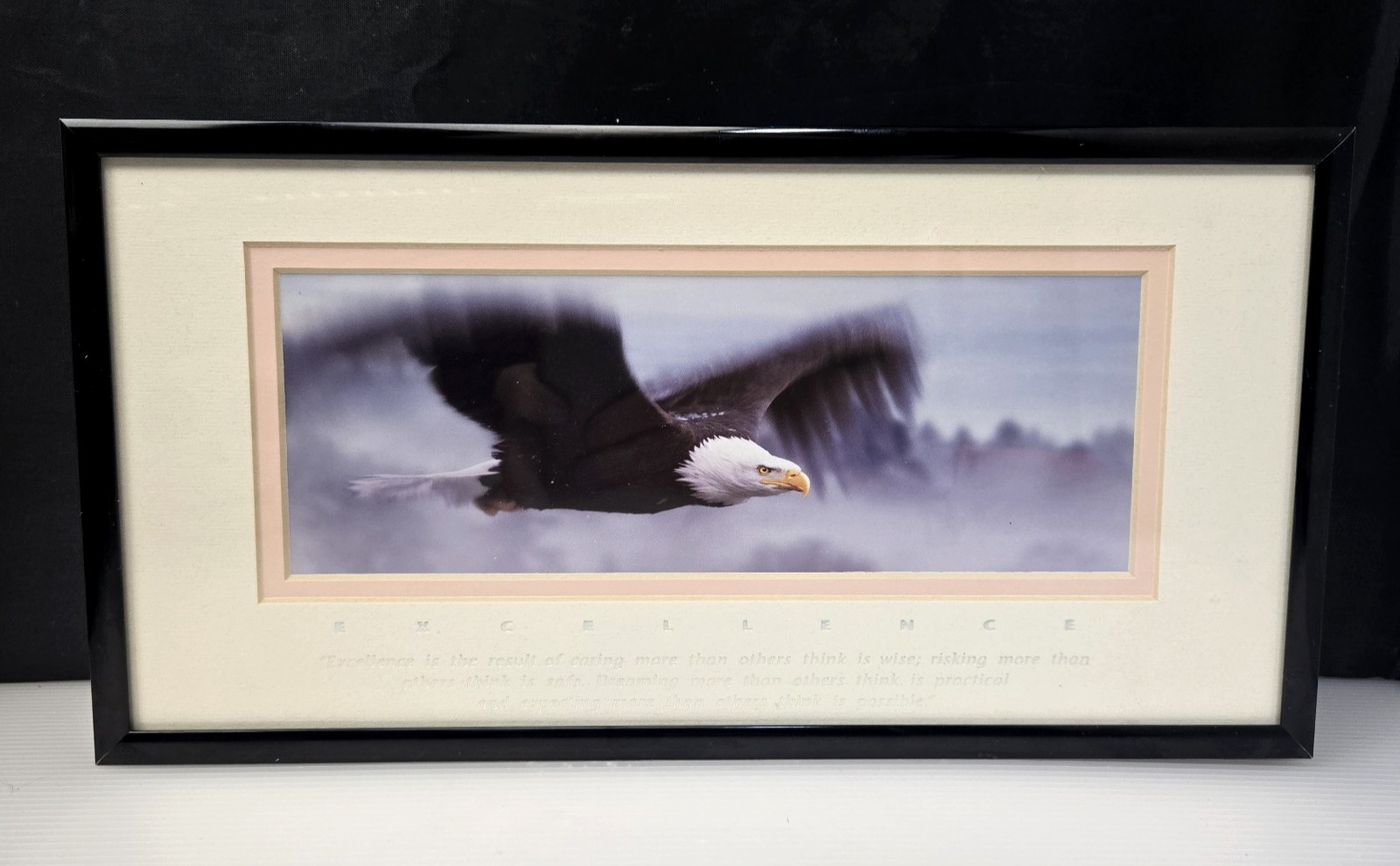 Excellence King Of The Skies Eagle Photo Art Framed Frank Oberle Photography