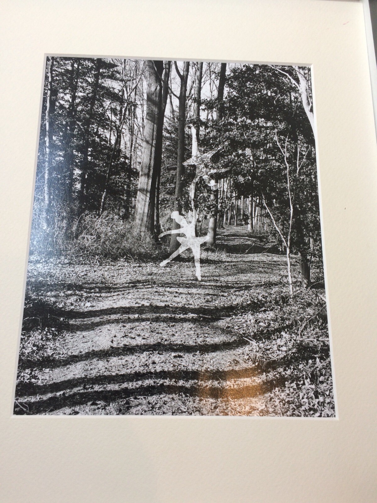 Robert Bery Angels in the Forest – Portfolio of 7 original photographic prints