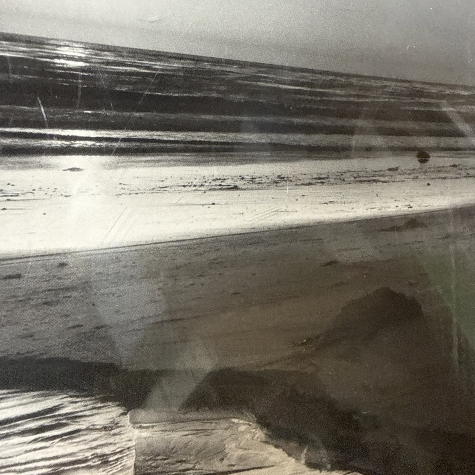 Ansel Adams Birds on a Beach Evening Framed Framed 1966 Photo 12×14 Wall Art VTG
