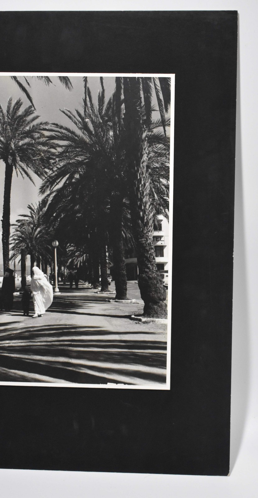 Vintage James W. Howlett Black and White Photograph, ‘Morrocan Palms’