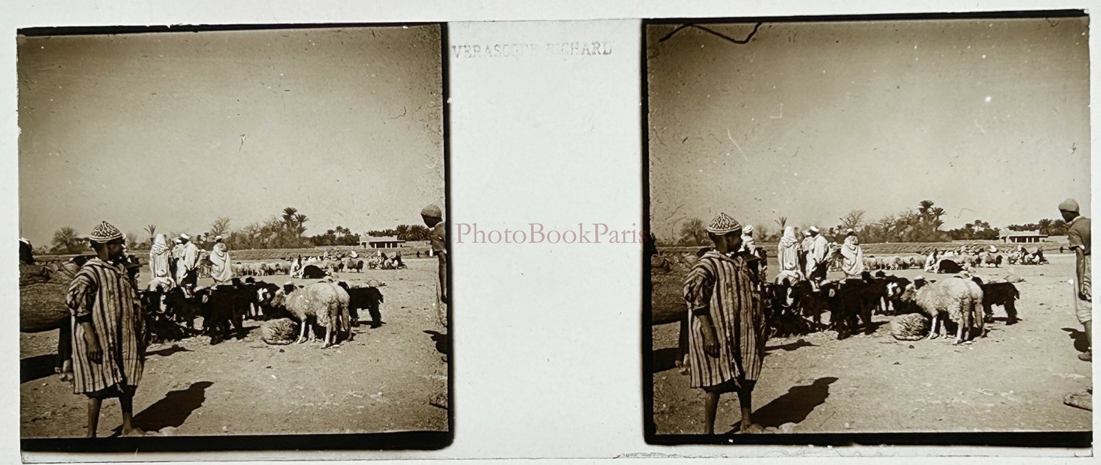 Maghreb Maroc Bergers C1925 Photo Plate Stereo Vintage V51L24N