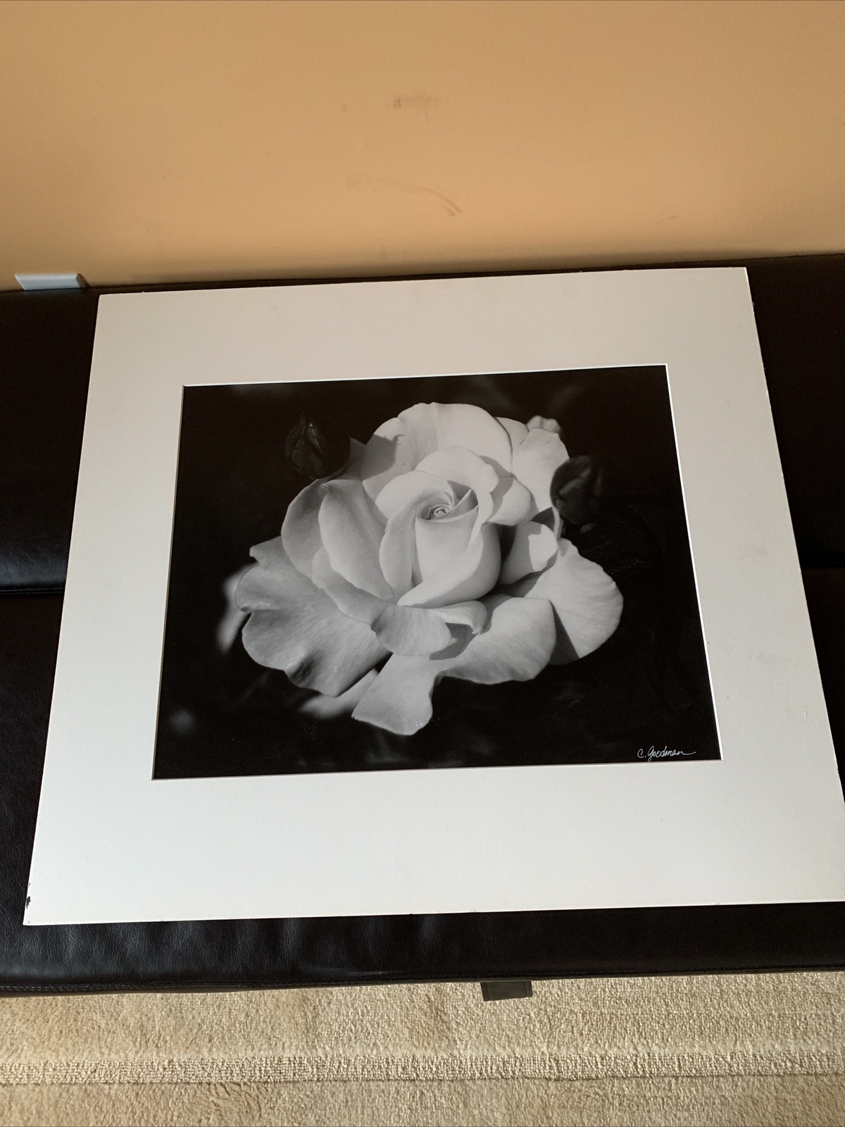 C. Goodman 2002 Original Signed Macro Photography White Rose 25×27.5 Matted