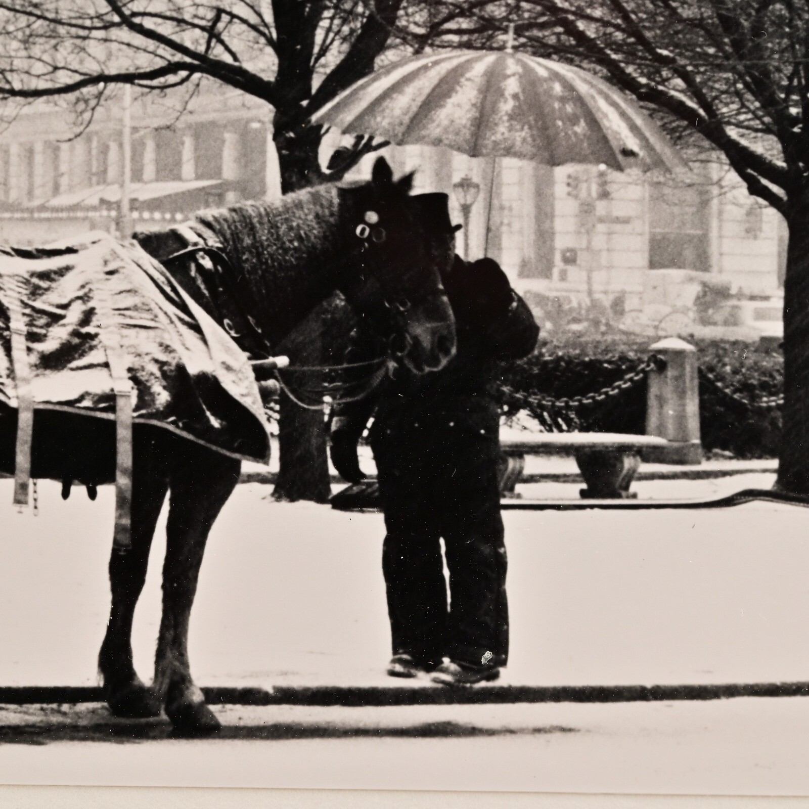 RICHARD CALVO Original Vintage Signed Central Park NY Horse Carriage Photograph