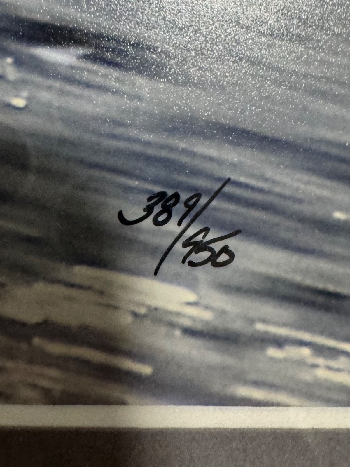 “The Catch- Bald Eagle” signed by tom mangelsen